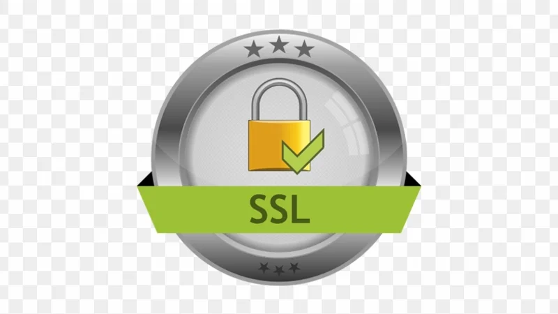 Cyber security 256-bit SSL encryption architecture seal