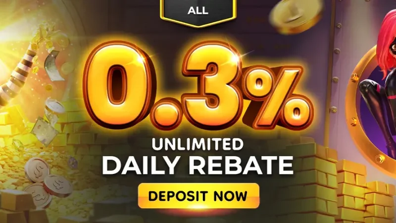 Daily cashback rebate ledger and loyalty tier progression table